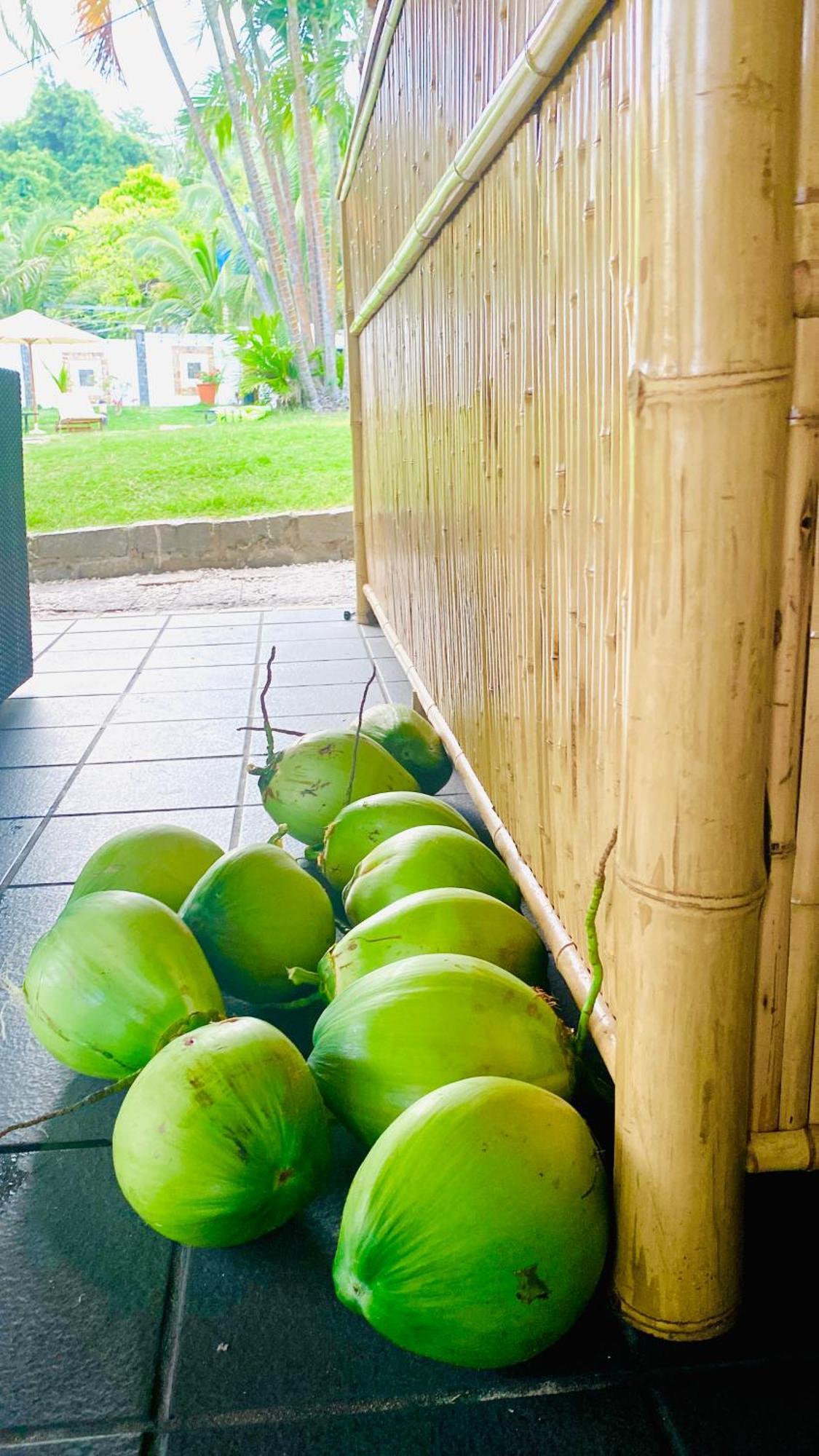 Jaguar House Resort Muine มุยเน่ ภายนอก รูปภาพ